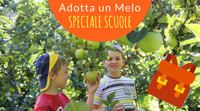 ADOPT AN APPLE TREE – SPECIAL SCHOOLS