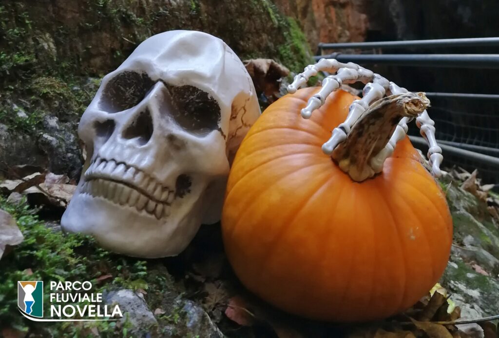 Speciale Halloween nel Parco Fluviale Novella